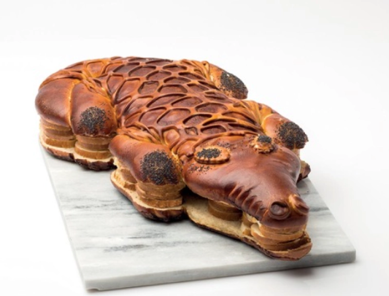 Image de la formule Crocodile surprise 